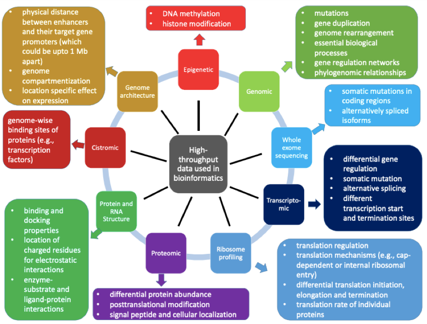 Major types of high-throughput data and their key information relevant to drug discovery.